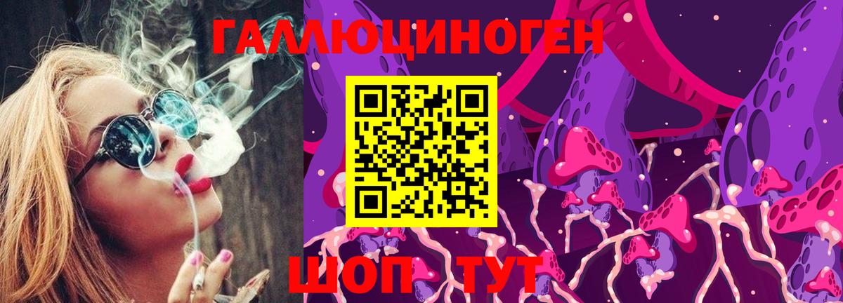Назрань  Псилоцибиновые грибы Psilocybe  Вход с VPN  Псилоцибиновые грибы Psilocybine cubensis 